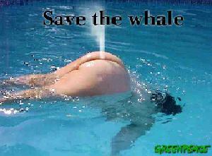 save the whale